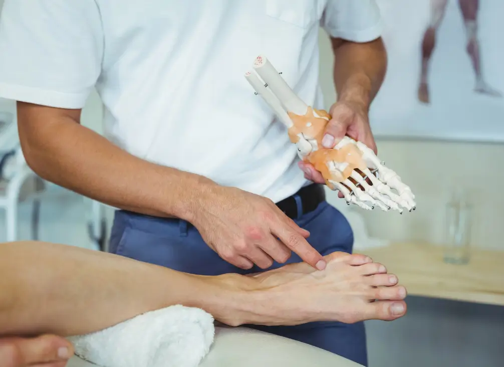 Podiatrist using foot skeleton model to explain forefoot pain – podiatry Brunswick consultation.